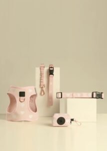 imgi 156 Dogistry2344 73a97be0 55e4 466c a0f6 68b9267e9096