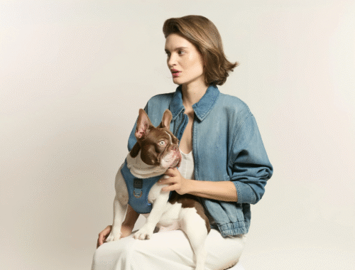 imgi 34 ME DOG SHOPLOOK 3 scaled