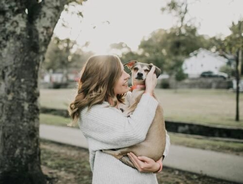 imageye imgi 24 my pet health store 4 750x